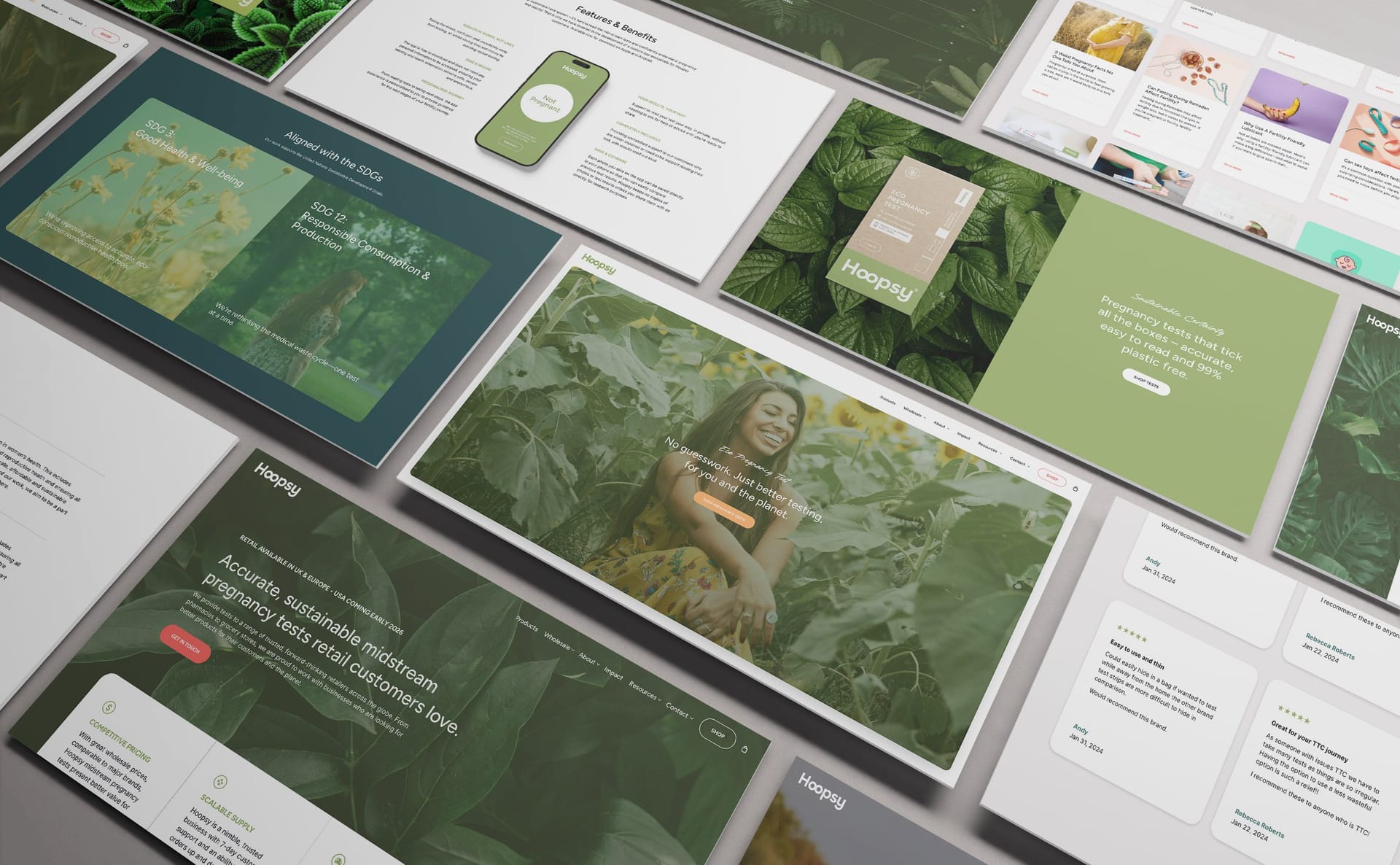 Hoopsy website design and development