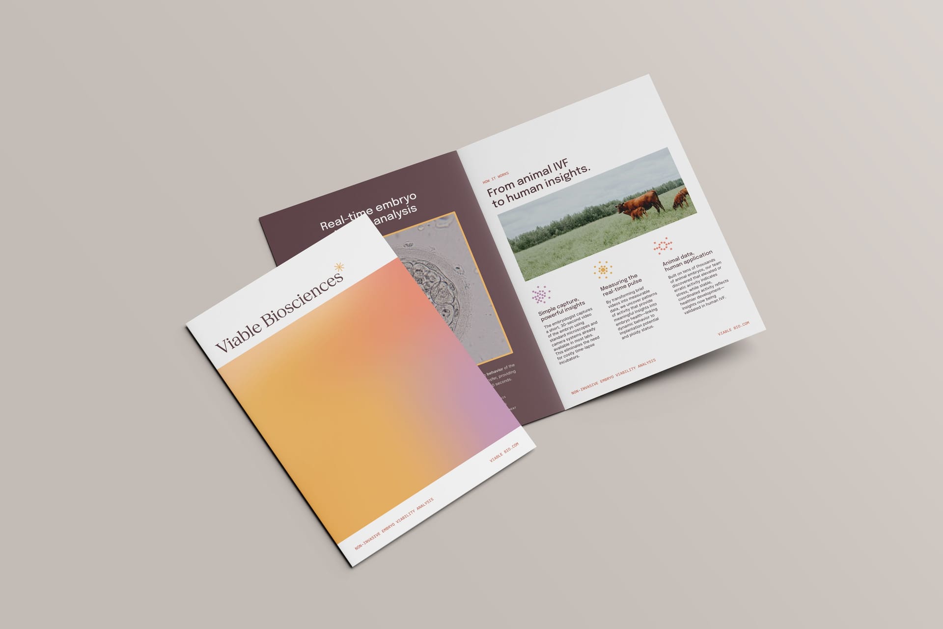 Viable Biosciences Brochure Design