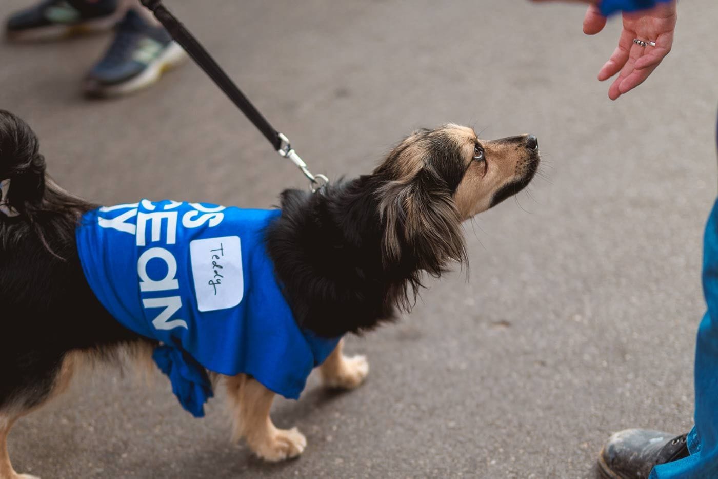 Kids Ocean Day Dog