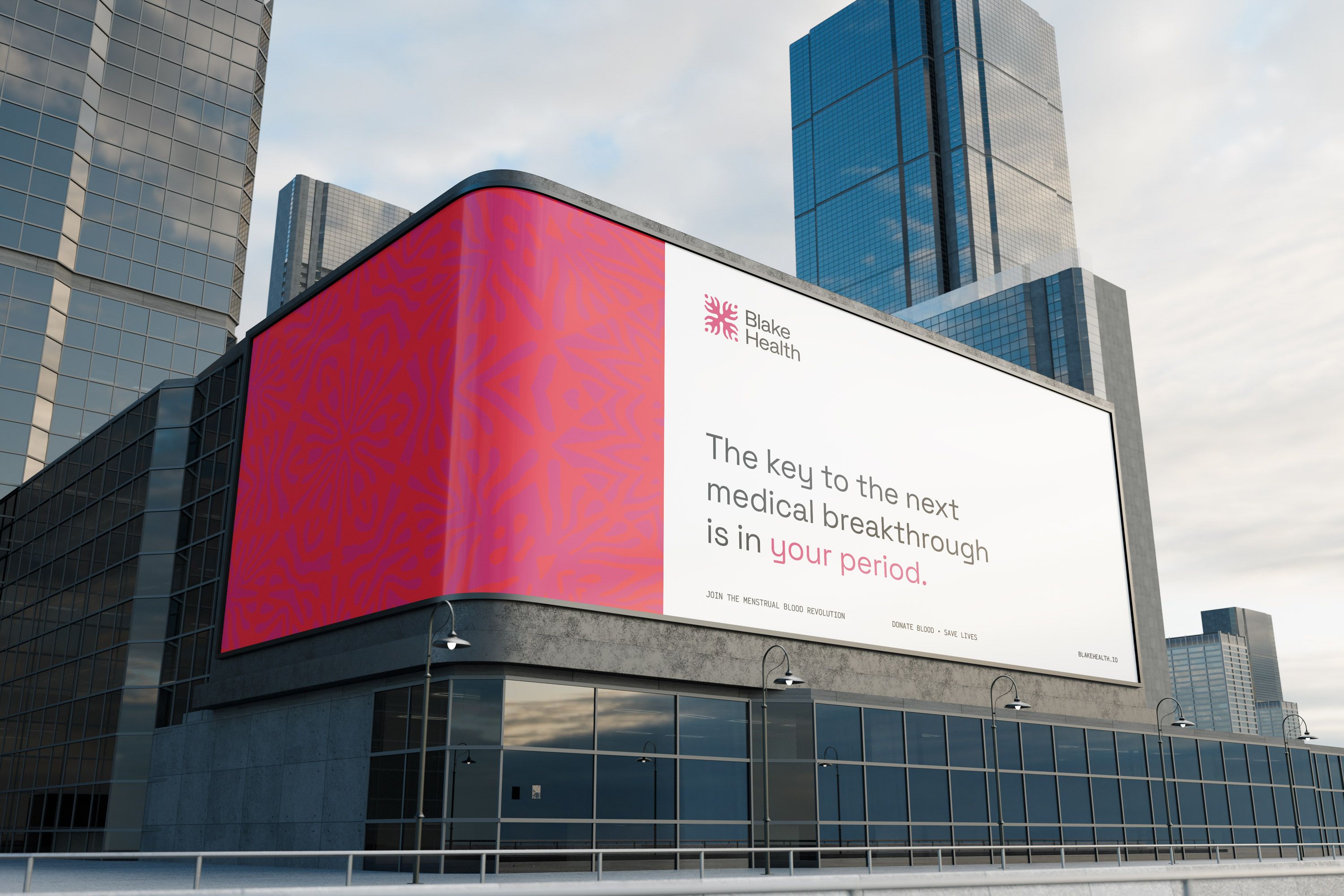Blake Health Branding and Graphic Design