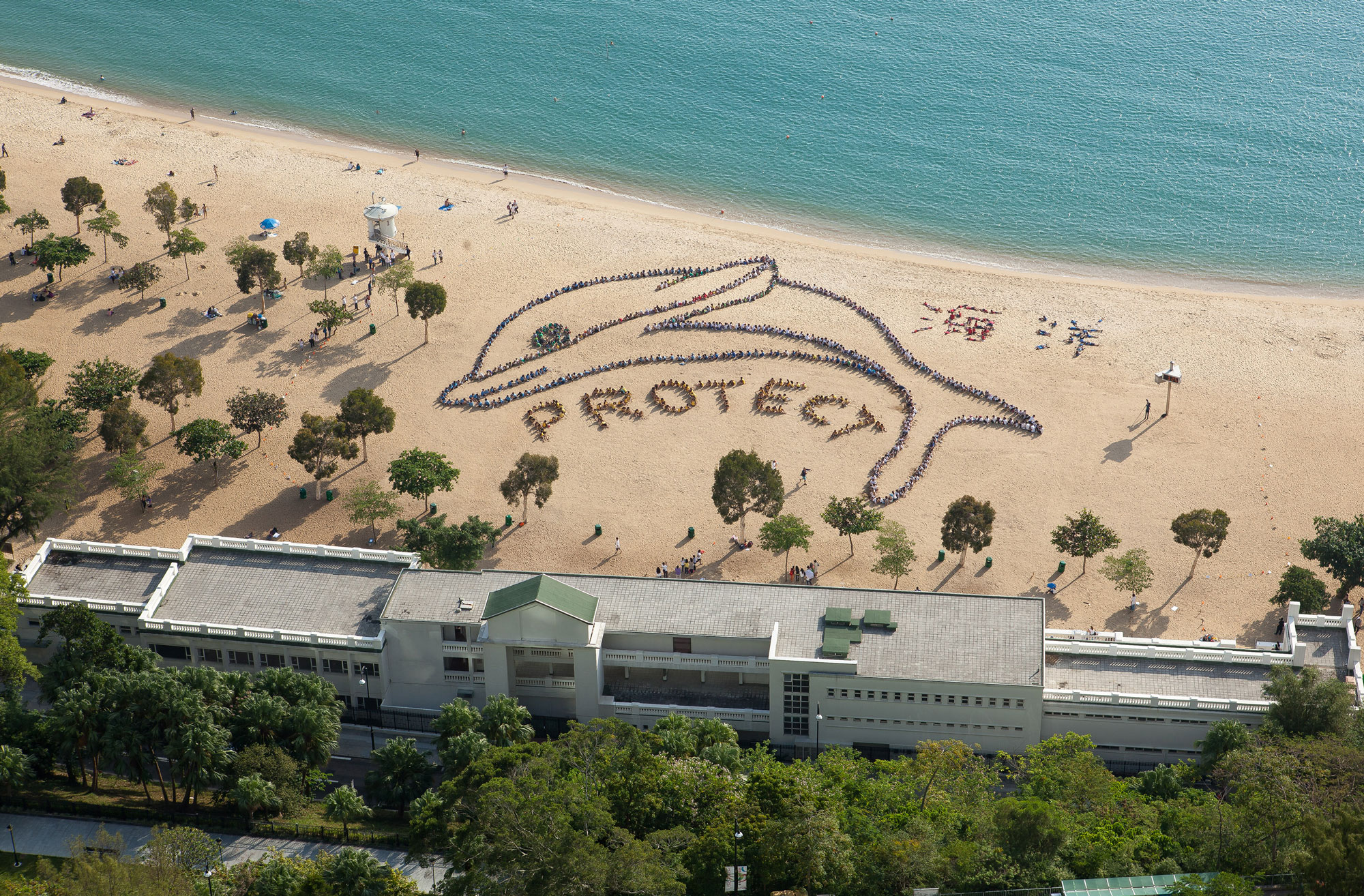 Kids Ocean Day aerial artwork