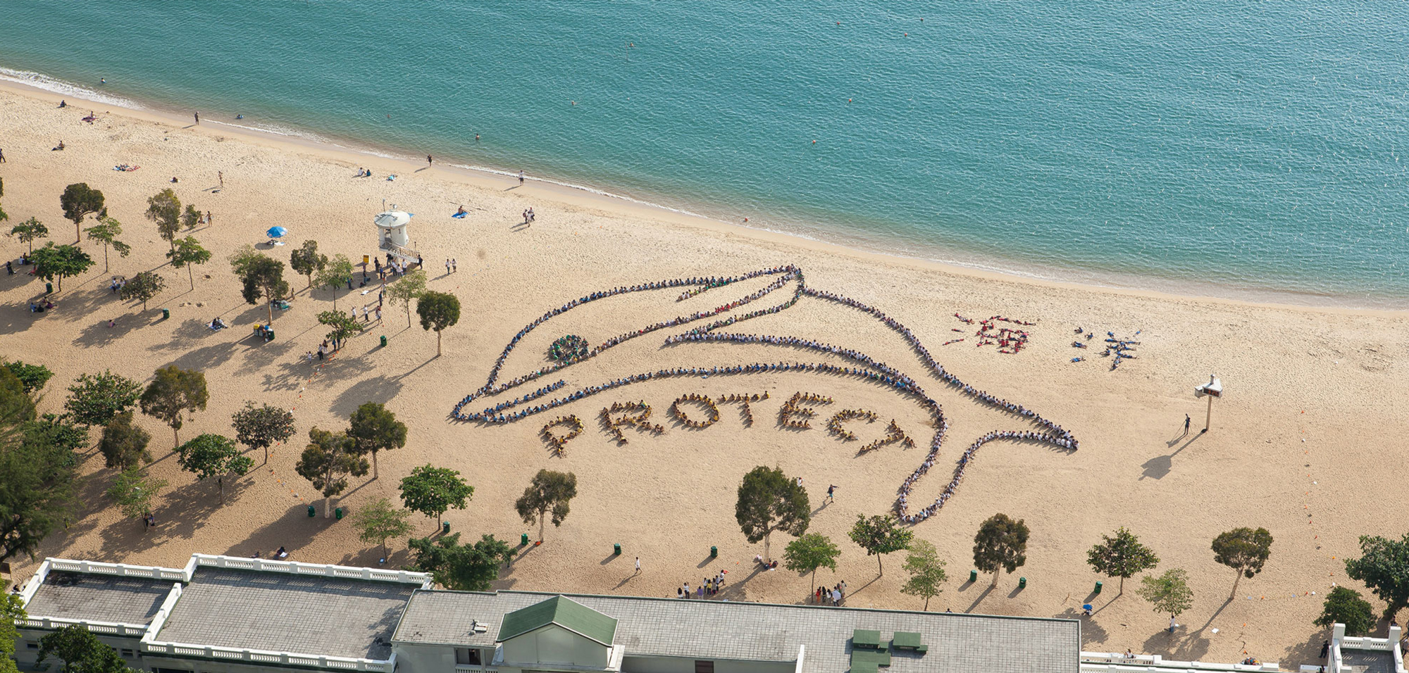 Aerial art of kids making a dolphin